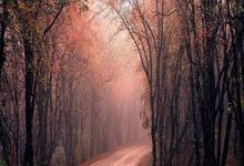 沙尔盖奥尔主场大胜，充满信心迎接新挑战