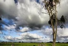 意大利联赛球队备战实力对比激烈