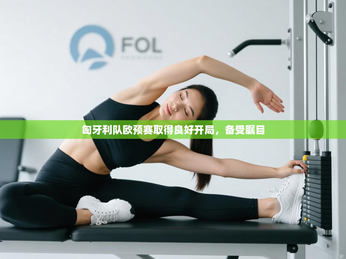 匈牙利队欧预赛取得良好开局,备受瞩目 第1张