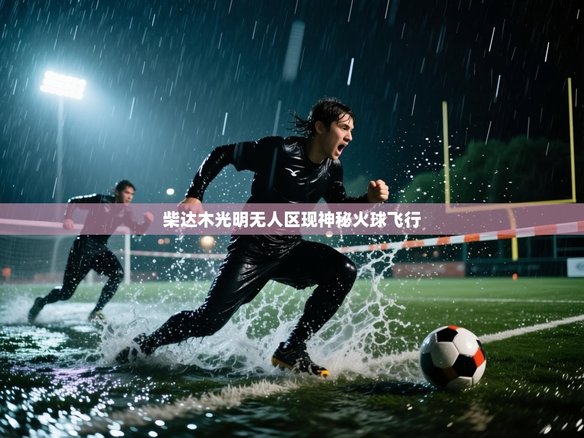 柴达木光明无人区现神秘火球飞行  第2张