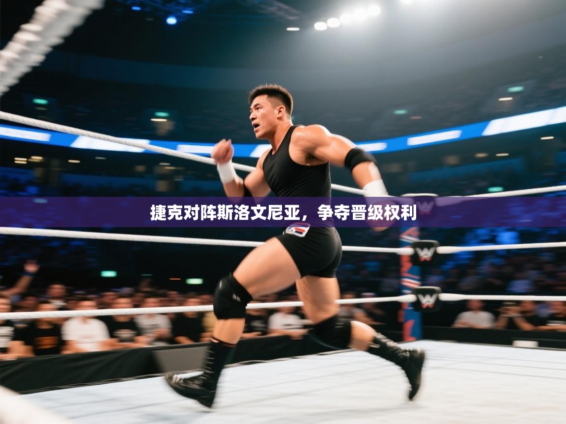 捷克对阵斯洛文尼亚，争夺晋级权利  第2张