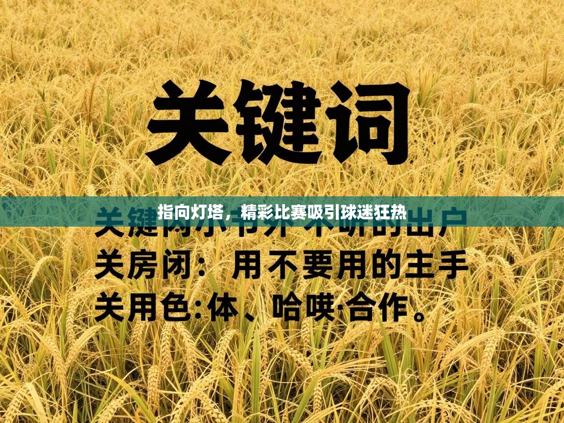 指向灯塔,精彩比赛吸引球迷狂热 第2张