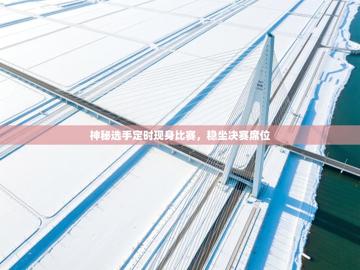 神秘选手定时现身比赛,稳坐决赛席位 第2张