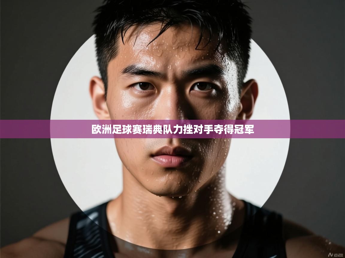 欧洲足球赛瑞典队力挫对手夺得冠军 第1张