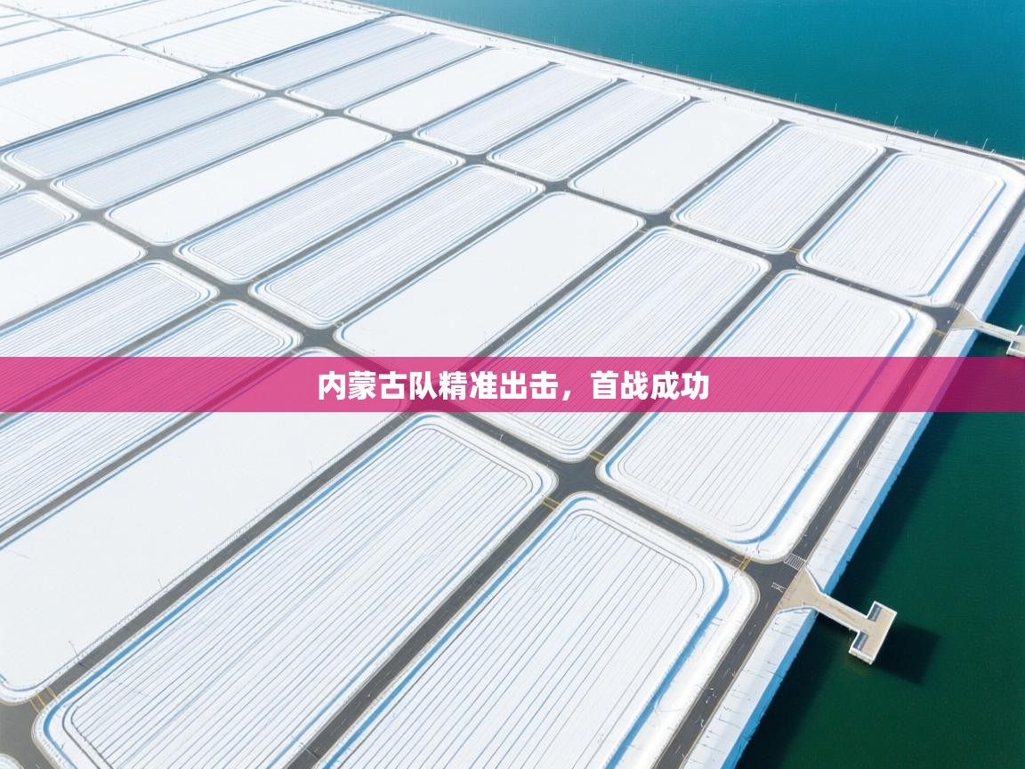 内蒙古队精准出击,首战成功 第2张