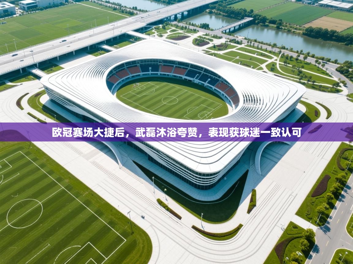 欧冠赛场大捷后,武磊沐浴夸赞,表现获球迷一致认可 第2张