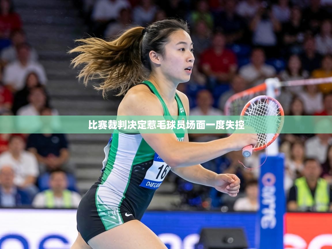 比赛裁判决定惹毛球员场面一度失控  第1张